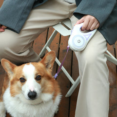 dba25fb203e2390d41eefdd8572468c